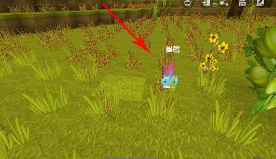 迷你世界雀莺羽毛获取途径 迷你世界雀莺羽毛获取途径