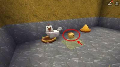 迷你世界鸡繁殖流程 迷你世界鸡繁殖流程