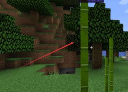 我的世界脚手架如何制作-脚手架制作方法 我的世界脚手架如何制作-脚手架制作方法