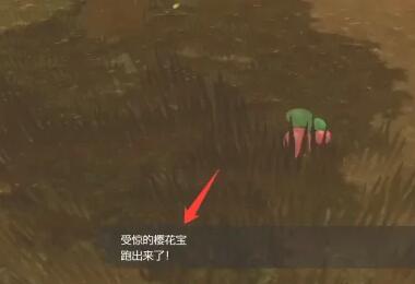 宝可梦阿尔宙斯时开时合任务怎么做-时开时合任务完成攻略 宝可梦阿尔宙斯时开时合任务怎么做-时开时合任务完成攻略