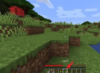 我的世界怎么得到小麦种子-小麦种子获得方法