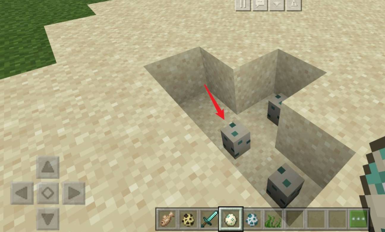 我的世界海龟蛋孵化条件