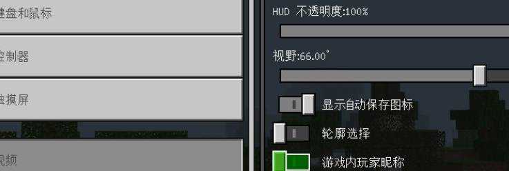 我的世界怎么隐藏玩家头上的名字