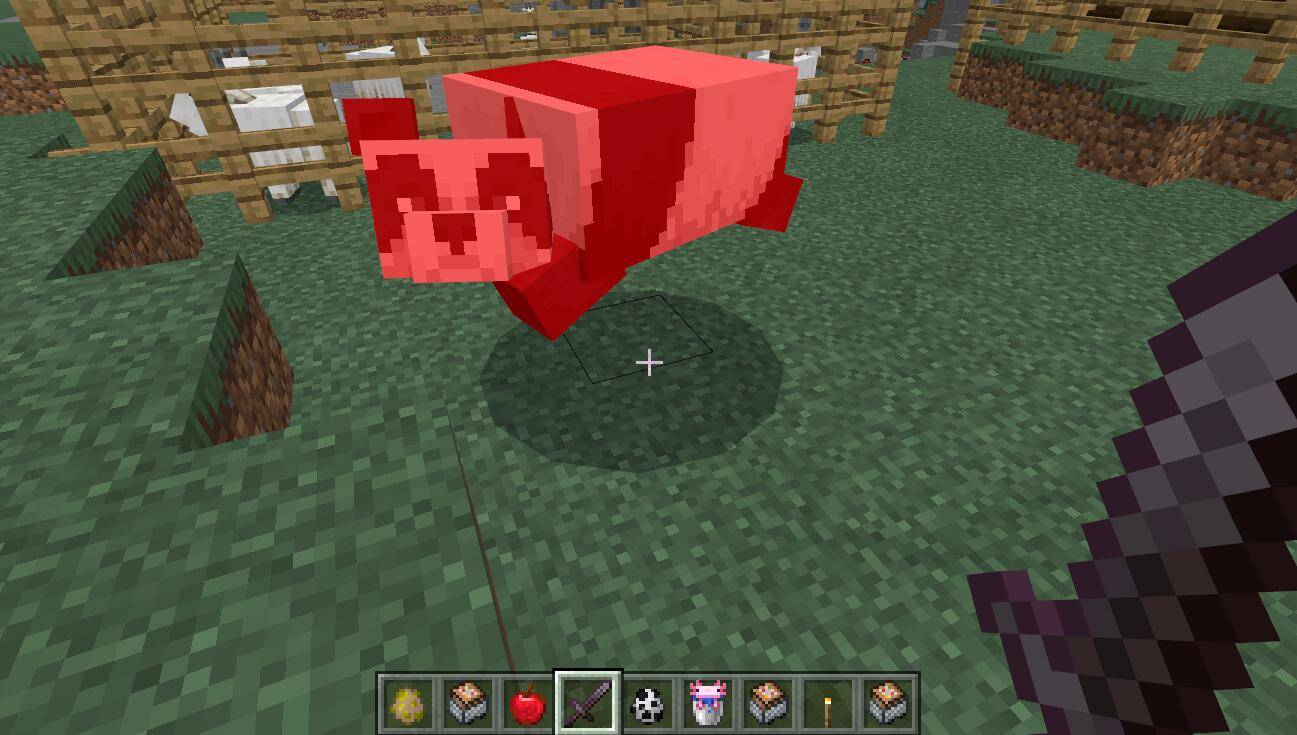 我们可以找到一只熊猫,然后击杀它 我们可以找到一只熊猫,然后击杀它