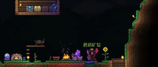 提炼机放置地上,靠近其打开背包,进 泰拉瑞亚蘑菇锭合成攻略