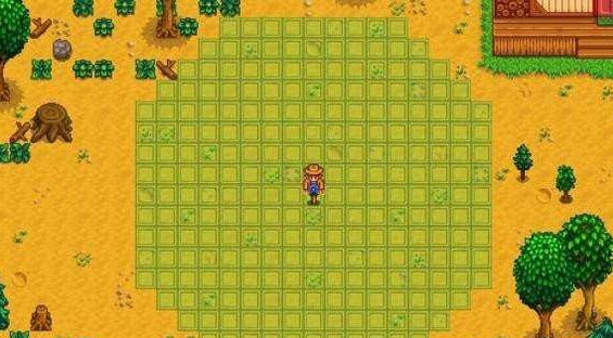 星露谷物语稻草人范围有多大