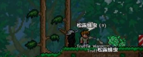 泰拉瑞亚怎么玩