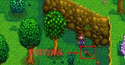 星露谷物语罗宾丢失的斧子在哪里-罗宾丢失的斧子位置介绍