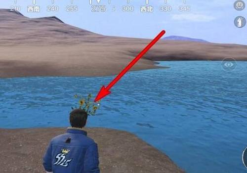 和平精英向日葵在哪-向日葵位置介绍 和平精英向日葵在哪-向日葵位置介绍