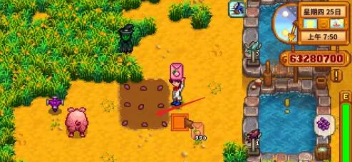 星露谷物语巨大作物怎么种-巨大作物种植方法