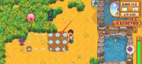 星露谷物语巨大作物怎么种-巨大作物种植方法