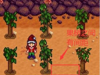 星露谷物语果树怎么种-果树种植方法
