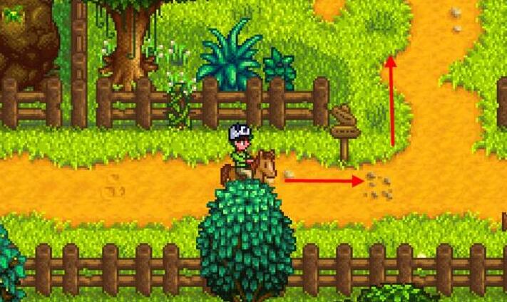 星露谷物语沙鱼在哪里钓-沙鱼垂钓位置 星露谷物语沙鱼在哪里钓-沙鱼垂钓位置