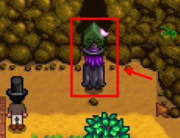 星露谷物语女巫任务怎么完成-女巫任务完成方法 星露谷物语女巫任务怎么完成-女巫任务完成方法