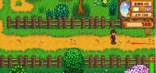 星露谷物语博物馆怎么捐赠-博物馆捐赠方法