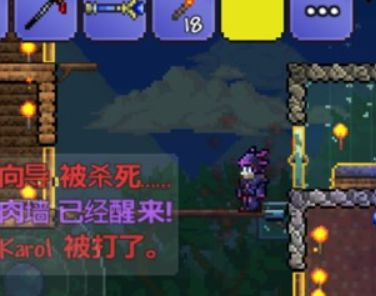 泰拉瑞亚肉山掉落物品详解_http://www.abetid.com_游戏攻略_第5张