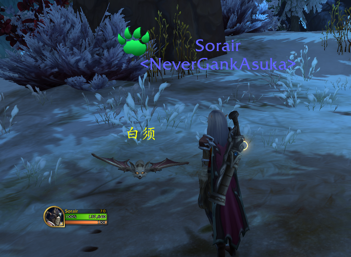 魔兽世界10.0白须怎么获得-10.0白须宠物获得方法