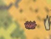 饥荒双胞胎姐妹怎么玩-双胞胎姐妹玩法推荐 饥荒双胞胎姐妹怎么玩-双胞胎姐妹玩法推荐