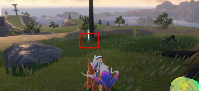 宝可梦朱紫高速移动怎么学-高速移动技能学习攻略 宝可梦朱紫高速移动怎么学-高速移动技能学习攻略