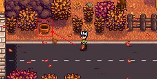 星露谷物语莱纳斯的篮子在哪