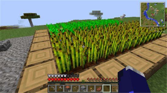我的世界小麦种子获取攻略