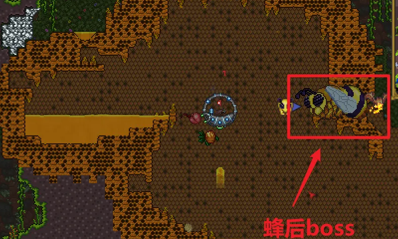 泰拉瑞亚怎么召唤蜂后