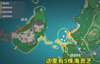 原神海灵芝在哪里采集-海灵芝采集位置 原神海灵芝在哪里采集-海灵芝采集位置