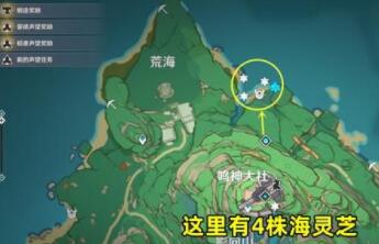 原神海灵芝在哪里采集-海灵芝采集位置 原神海灵芝在哪里采集-海灵芝采集位置