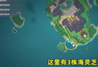 原神海灵芝在哪里采集-海灵芝采集位置 原神海灵芝在哪里采集-海灵芝采集位置