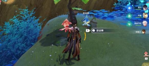 原神3.6净觉花在哪