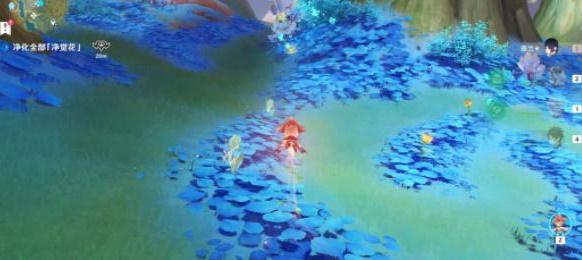 原神3.6净觉花位置