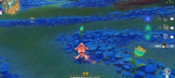 原神3.6净觉花在哪