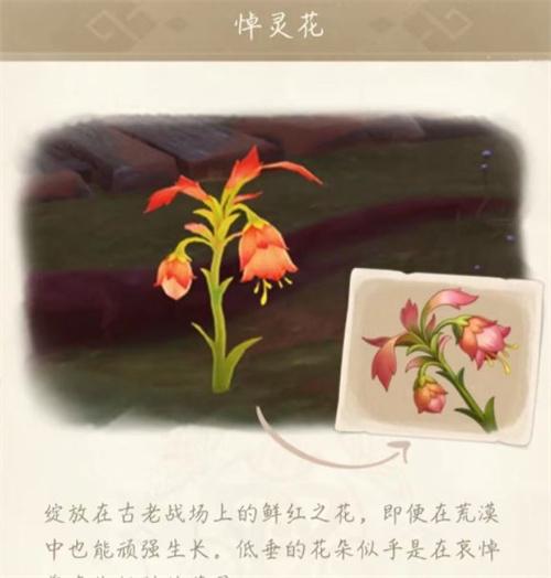 原神悼灵花刷新时间一览