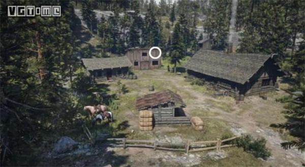 荒野大镖客2老太太4个儿子在哪-老妇人和4个儿子位置分享