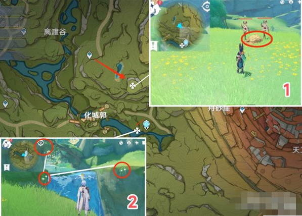 原神劫波莲位置在哪-劫波莲位置地点及路线一览