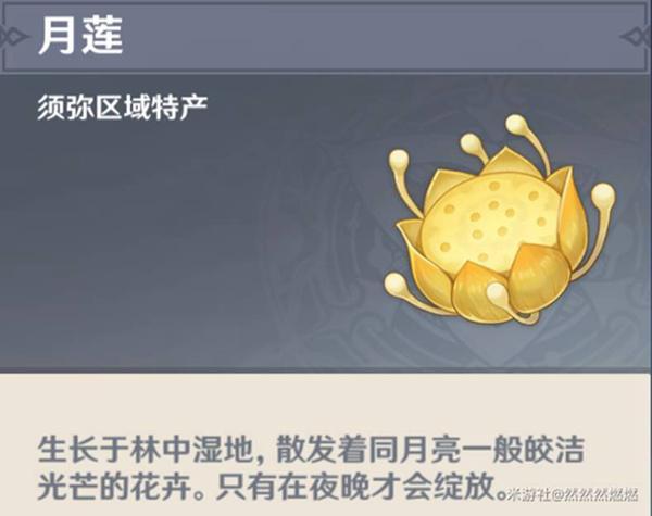 原神月莲哪里多-月莲采集路线图大全