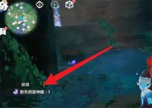 原神鸣神大社雷神瞳怎么获得图3