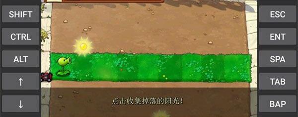 植物大战僵尸95版代码大全