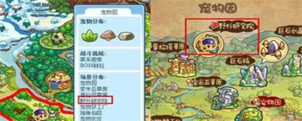 洛克王国武斗酷猫怎么超进化-武斗酷猫超进化方法