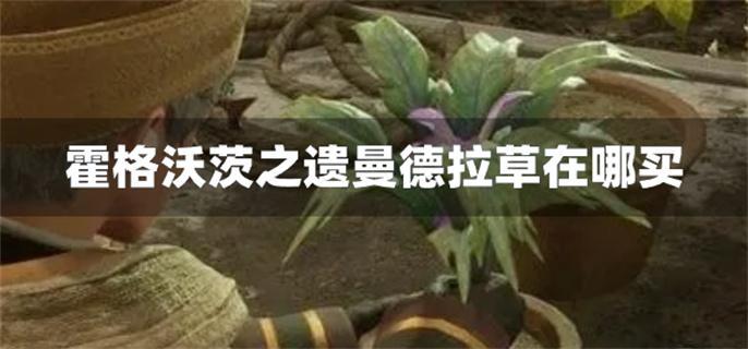 霍格沃茨之遗曼德拉草在哪买