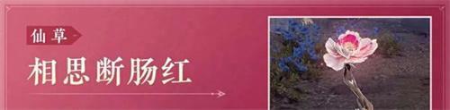永劫无间相思断肠红怎么获得-相思断肠红属性效果介绍