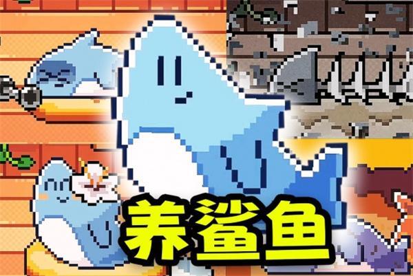 我的小鲨鱼结局是什么-结局大全