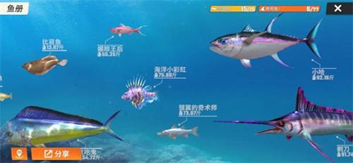 歡樂釣魚大師魚類有哪些