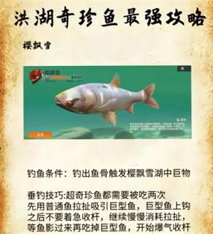 歡樂釣魚大師洪湖最后兩條魚獲取方法