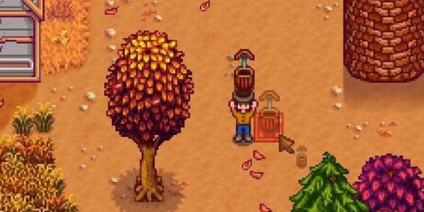 星露谷物语金库收集包怎么获得