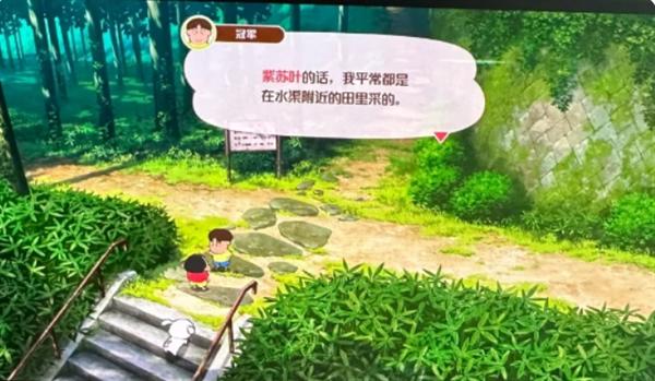 蜡笔小新煤炭镇的小白紫叶怎么获取-紫苏叶获取方法