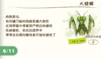 蜡笔小新煤炭镇的小白螳螂怎么捕捉-螳螂捕捉攻略