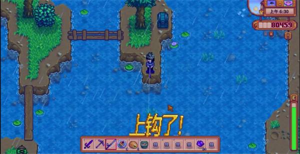 星露谷物语稀有鱼怎么钓