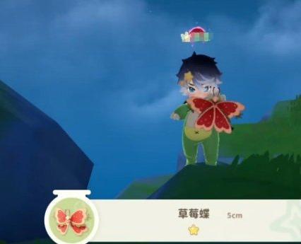 米姆米姆哈小橘蜂在哪捕捉