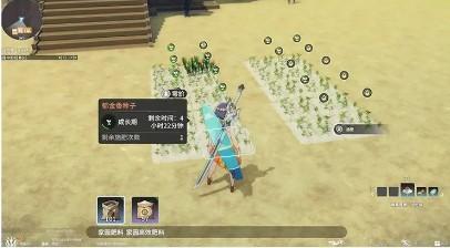 星痕共鸣家园系统功能有哪些